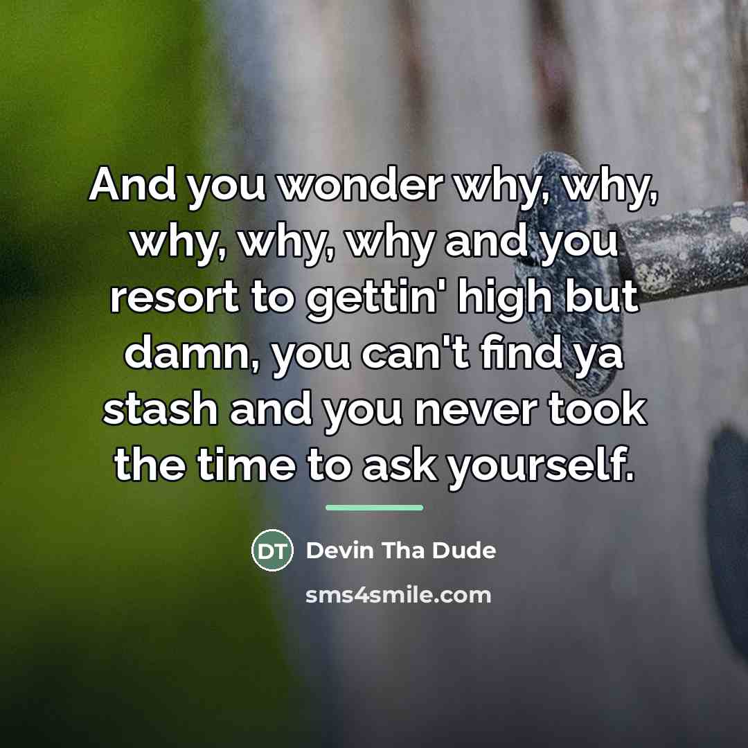 “And you wonder why, why, why, why, why and you…” quote by Devin Tha Dude