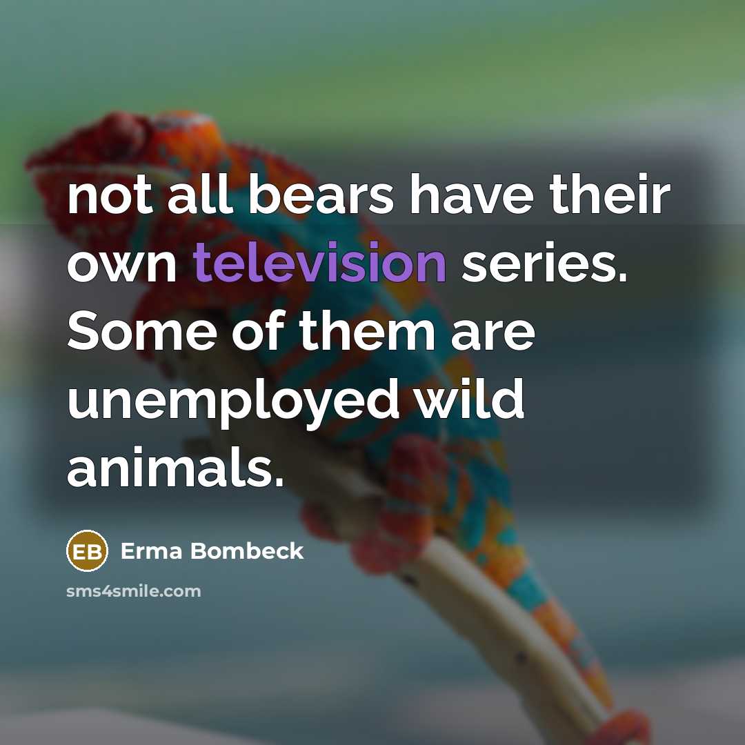 “not all bears have their own television series. Some of…” quote by Erma Bombeck