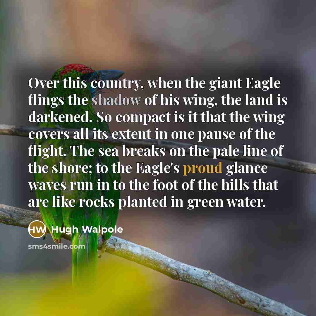“Over this country, when the giant Eagle flings the shadow of his wing, the land is darkened. So compact is it that the wing covers all its extent in one pause of the flight. The sea breaks on the pale line of the shore; to the Eagle's proud glance waves run in to the foot of the hills that are…” quote by Hugh Walpole