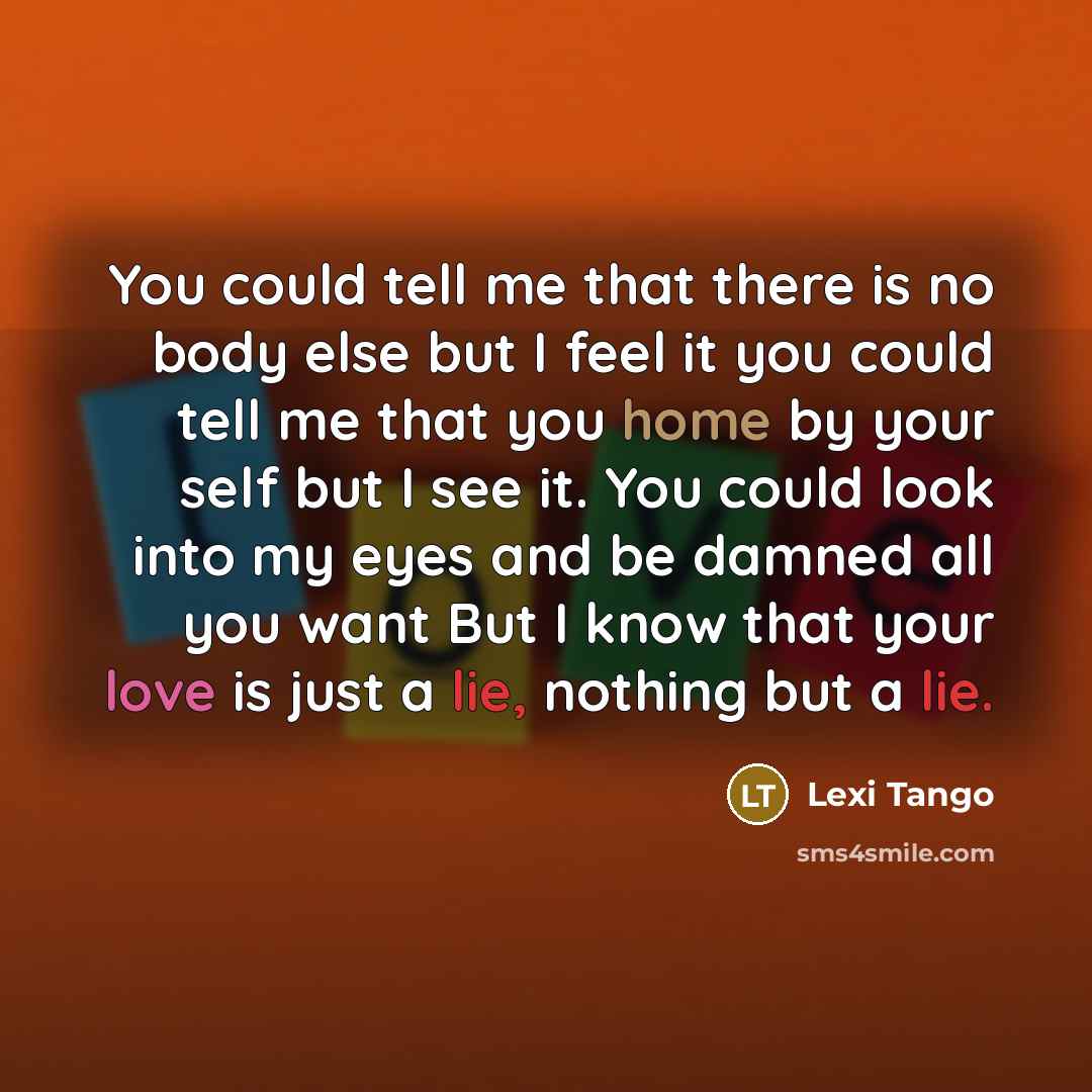 “You could tell me that there is no body else but I feel it you could tell me that you home by your self but I see it. You could look into my eyes and be damned all you want But I know that your love is just a lie, nothing but a lie.” quote by Lexi Tango