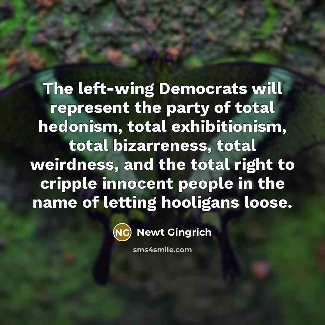 “The left-wing Democrats will represent the party of total hedonism,…” quote by Newt Gingrich