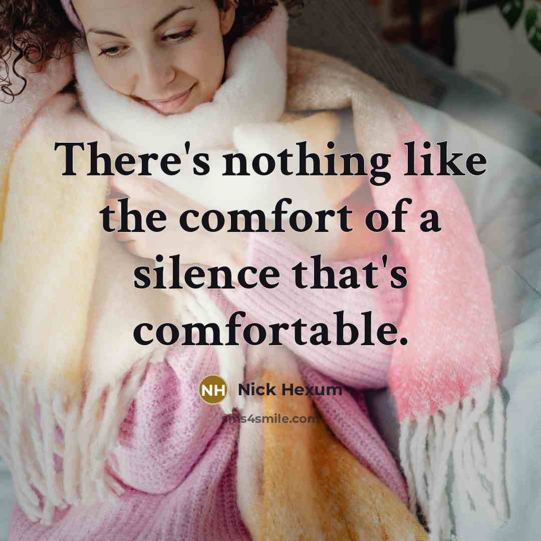 “There's nothing like the comfort of a silence that's comfortable.…” quote by Nick Hexum