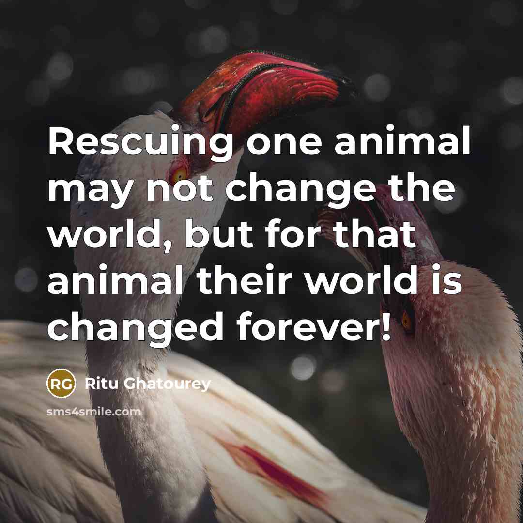 “Rescuing one animal may not change the world, but for…” quote by Ritu Ghatourey