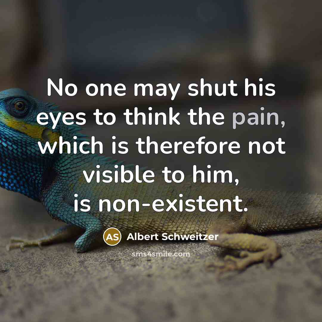 “No one may shut his eyes to think the pain,…” quote by Albert Schweitzer