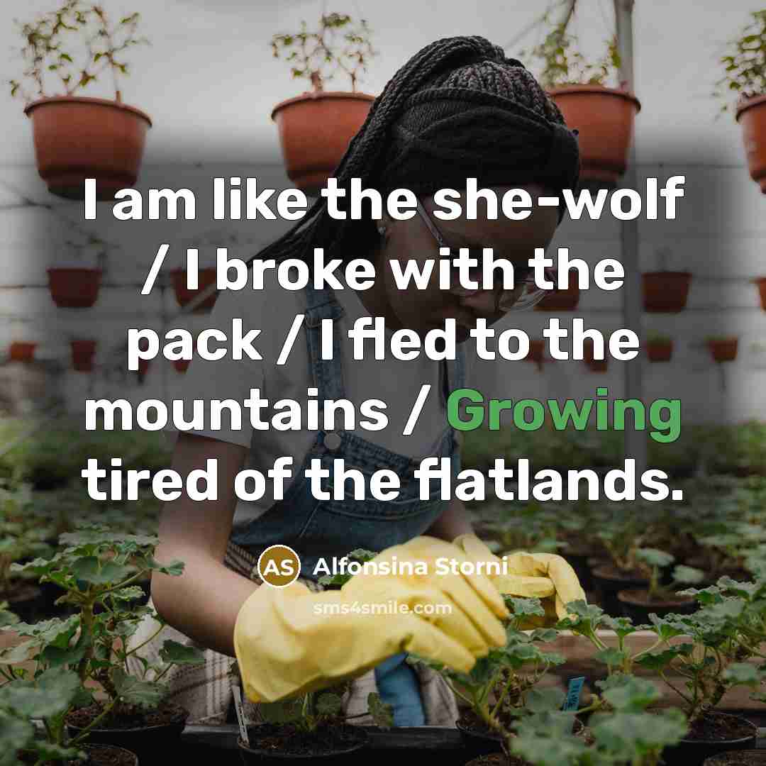 “I am like the she-wolf / I broke with the…” quote by Alfonsina Storni