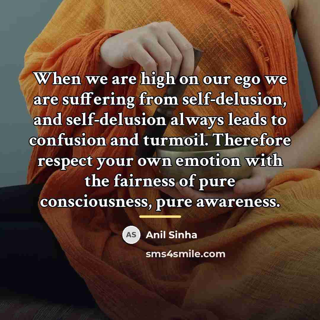 “When we are high on our ego we are suffering…” quote by Anil SInha