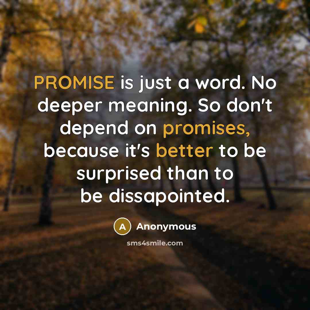 “PROMISE is just a word. No deeper meaning. So don't depend on promises, because it's better to be surprised than to be dissapointed.” quote by Anonymous