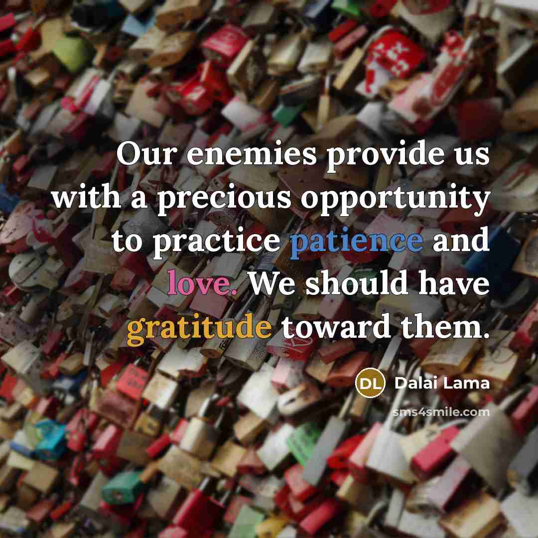 “Our enemies provide us with a precious opportunity to practice…” quote by Dalai Lama