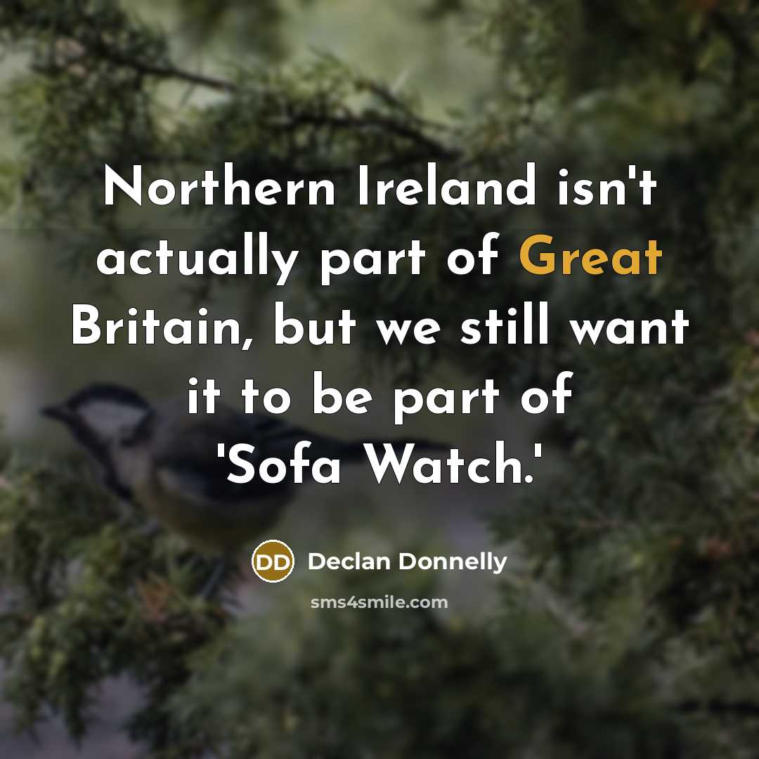 “Northern Ireland isn't actually part of Great Britain, but we still want it to be part of 'Sofa Watch.'” quote by Declan Donnelly