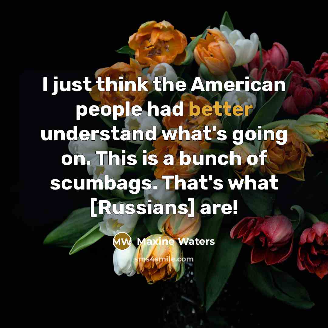 “I just think the American people had better understand what's…” quote by Maxine Waters