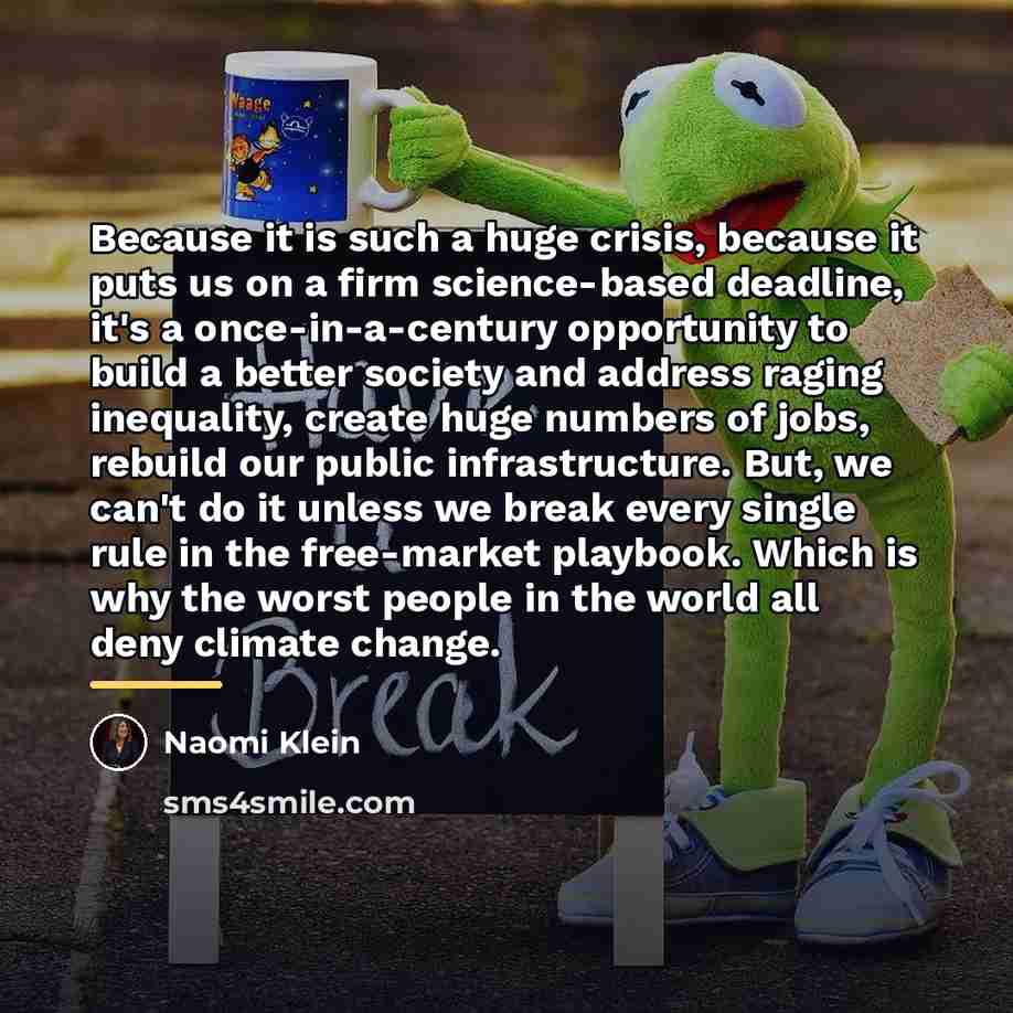 “Because it is such a huge crisis, because it puts…” quote by Naomi Klein