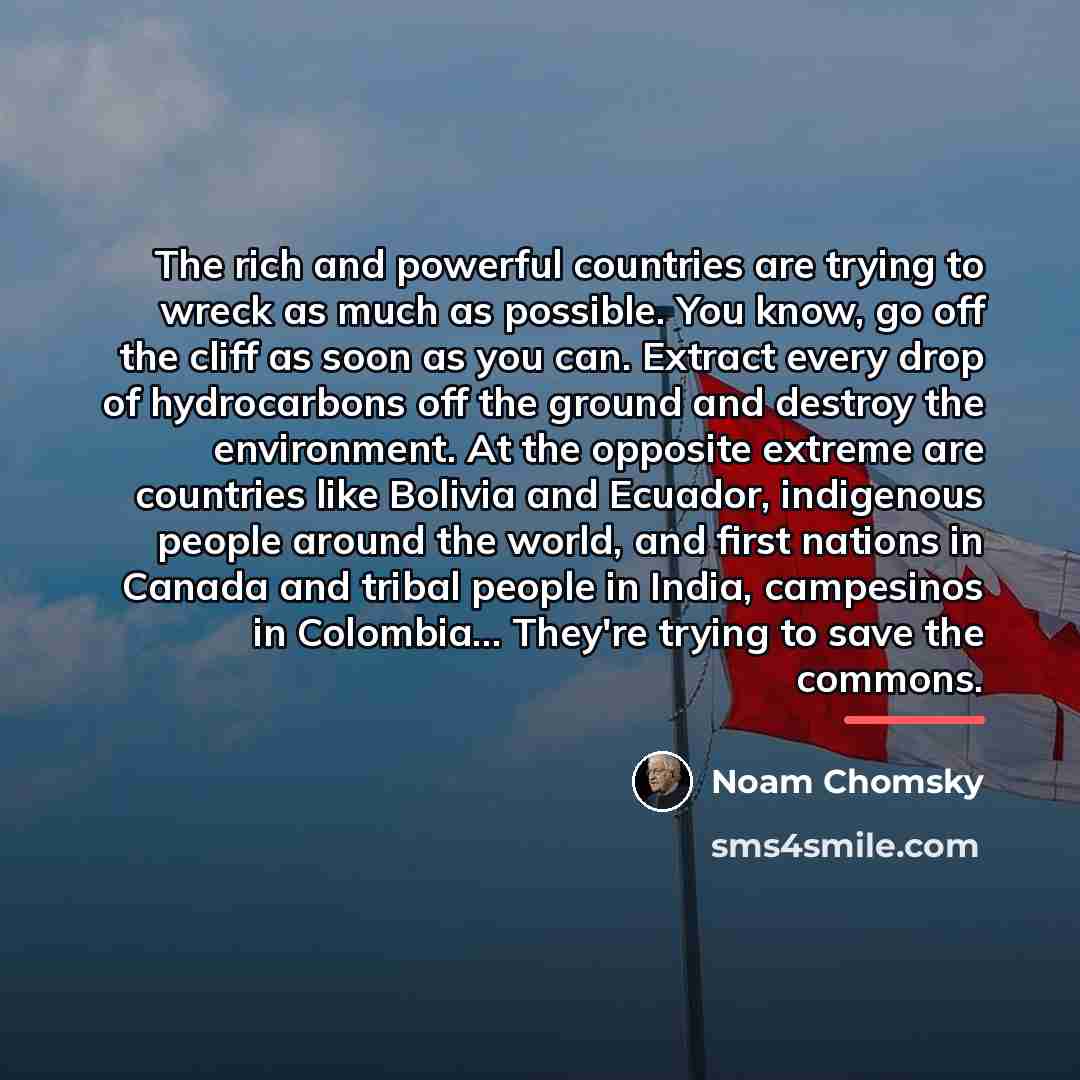 “The rich and powerful countries are trying to wreck as…” quote by Noam Chomsky