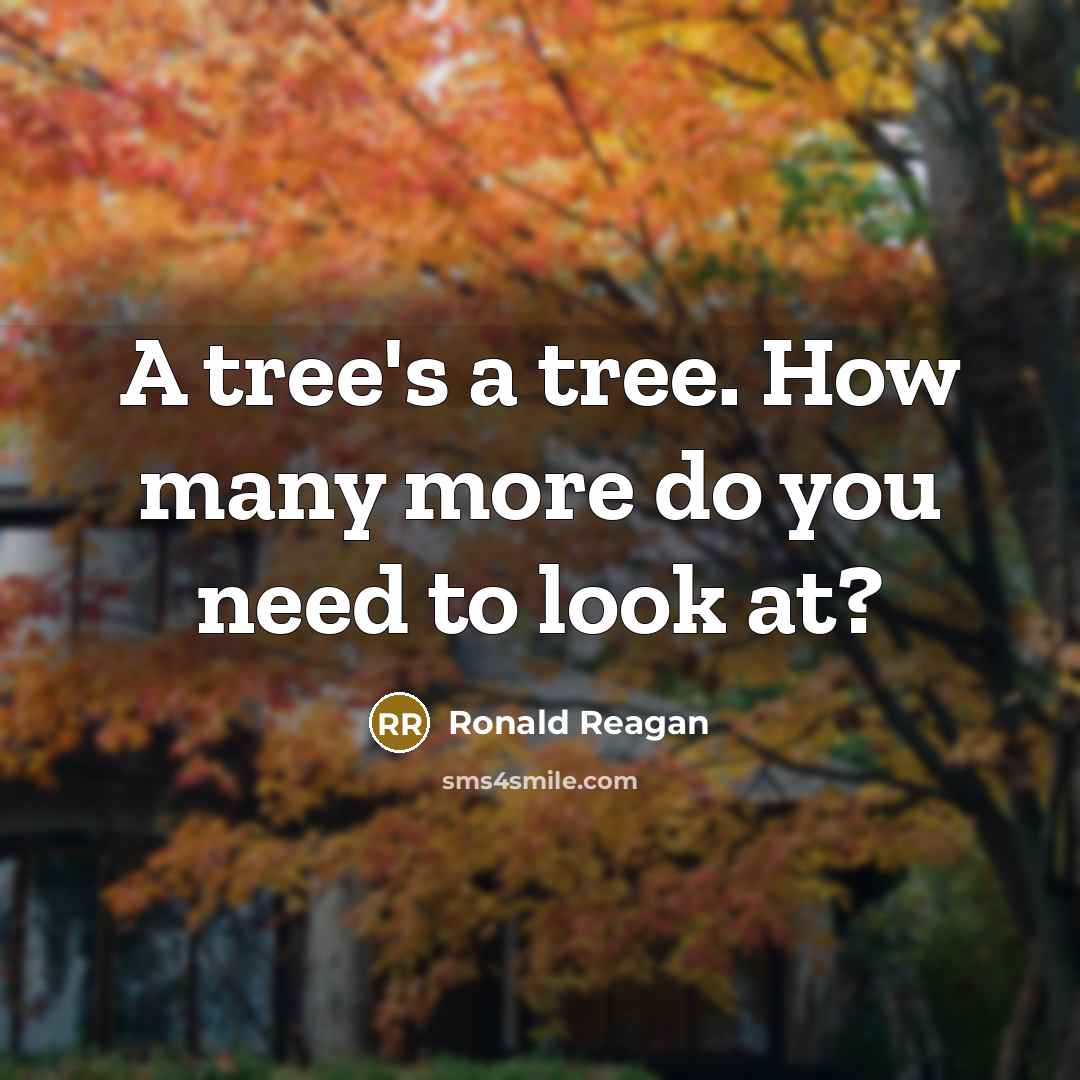 “A tree's a tree. How many more do you need to look at?” quote by Ronald Reagan
