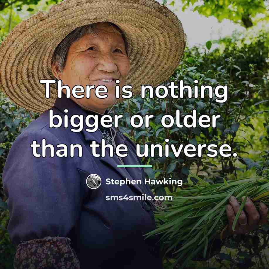 “There is nothing bigger or older than the universe.…” quote by Stephen Hawking