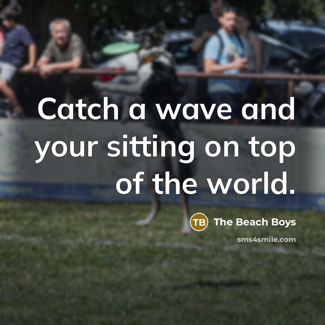“Catch a wave and your sitting on top of the…” quote by The Beach Boys