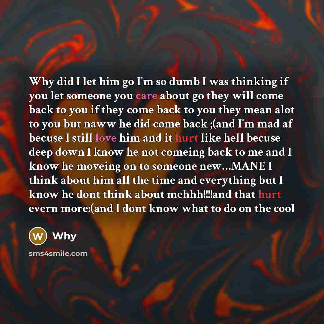 “Why did I let him go I'm so dumb I was thinking if you let someone you care about go they will come back to you if they come back to you they mean alot to you but naww he did come back ;(and I'm mad af becuse I still love him and it hurt like hell becuse deep down I know he not comeing back to me…” quote by Why