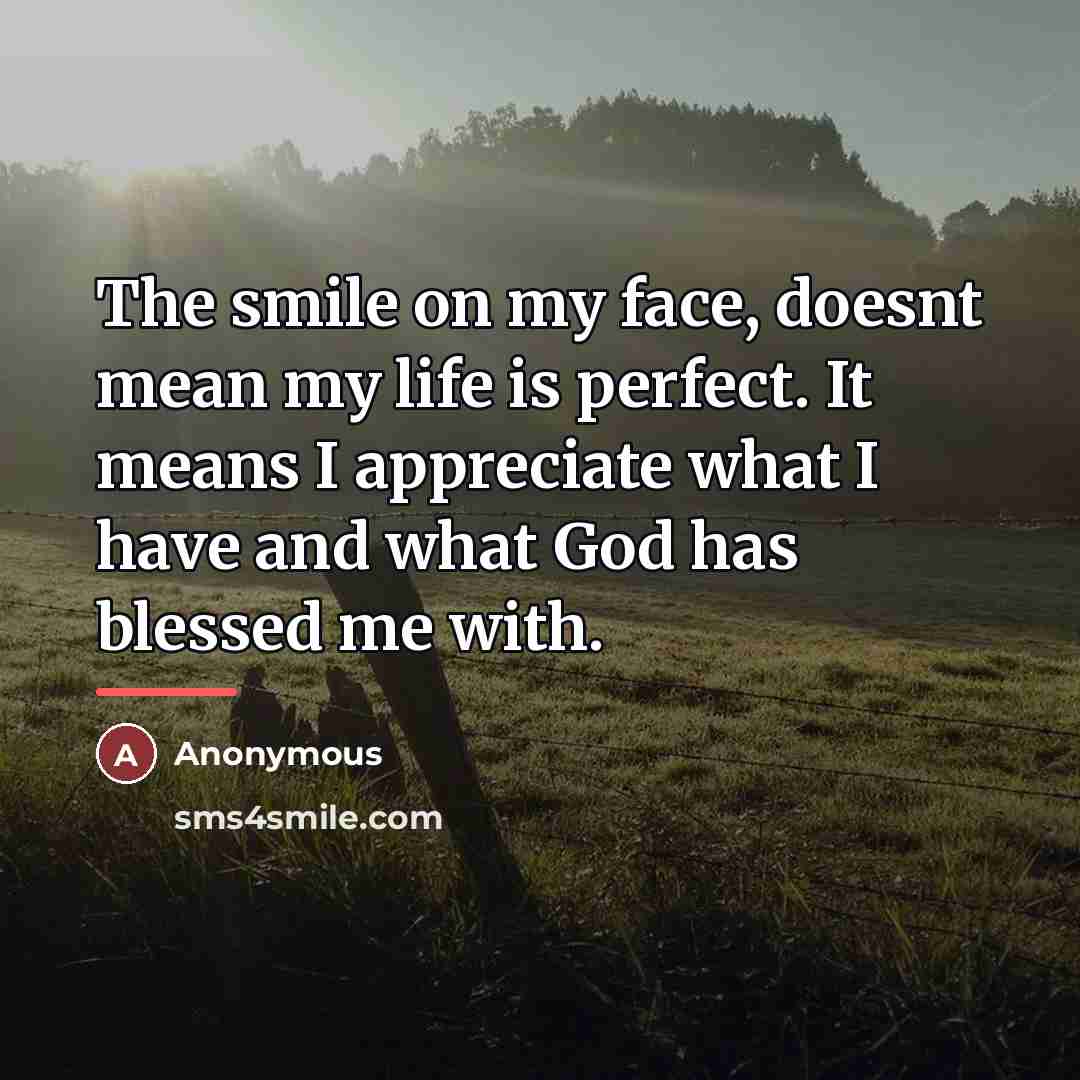 “The smile on my face, doesnt mean my life is…” quote by Anonymous