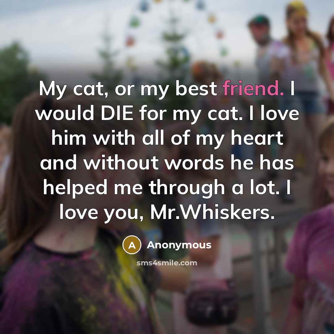“My cat, or my best friend. I would DIE for…” quote by Anonymous