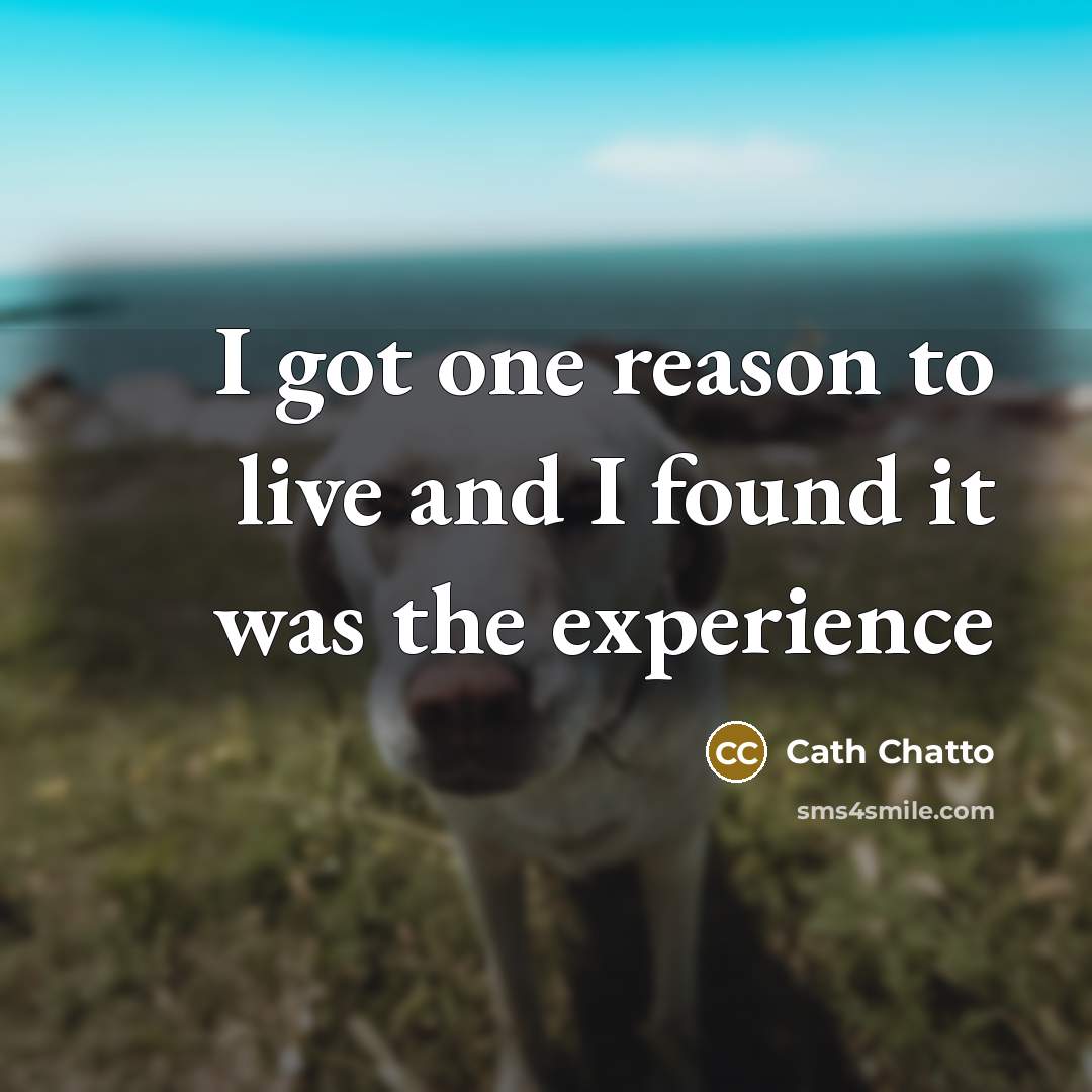 “I got one reason to live and I found it…” quote by Cath Chatto