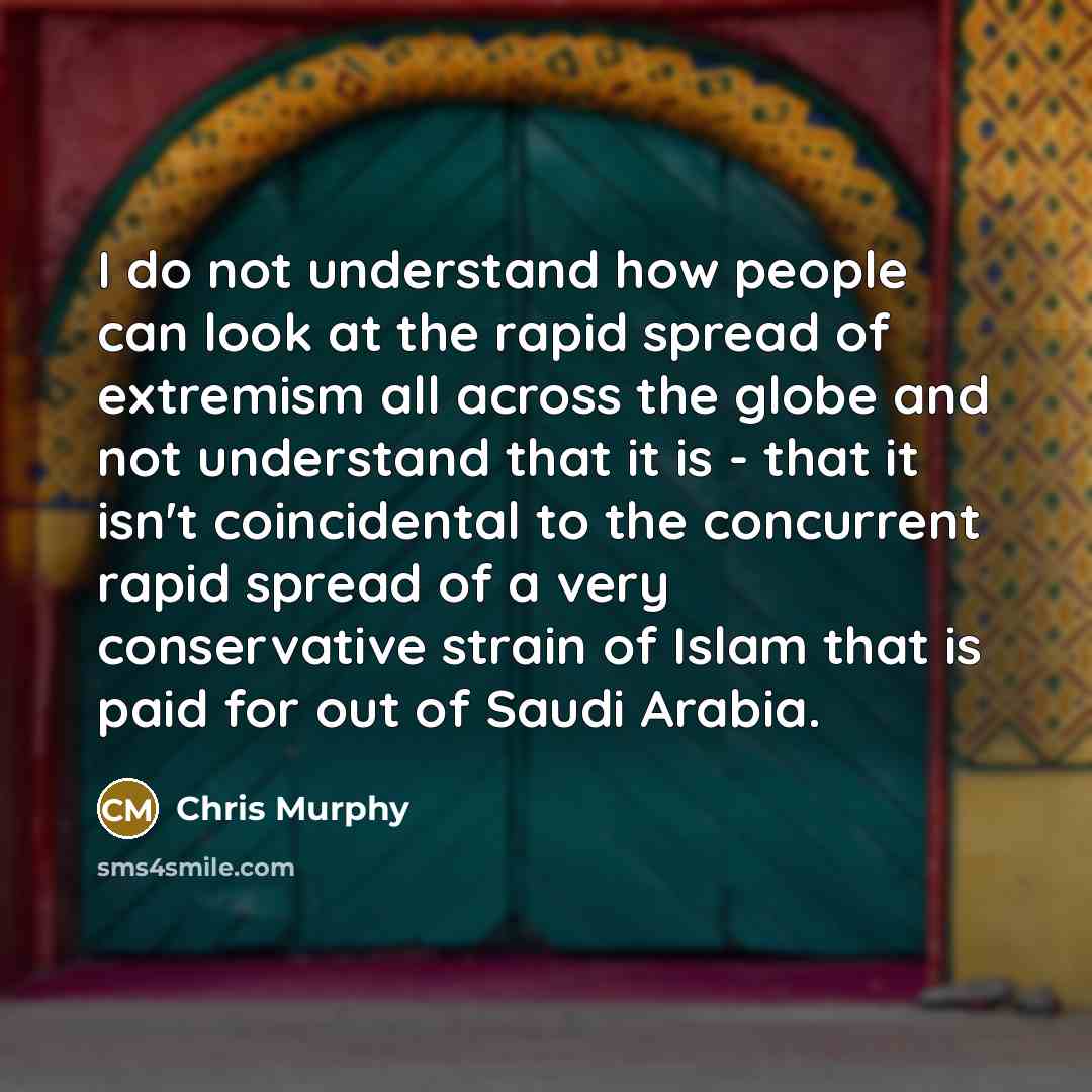 “I do not understand how people can look at the…” quote by Chris Murphy