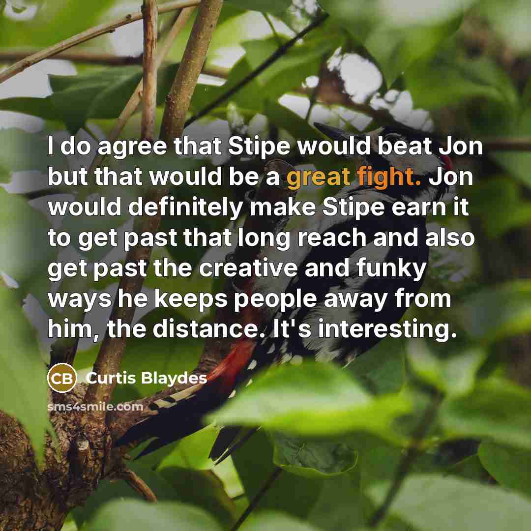 “I do agree that Stipe would beat Jon but that…” quote by Curtis Blaydes