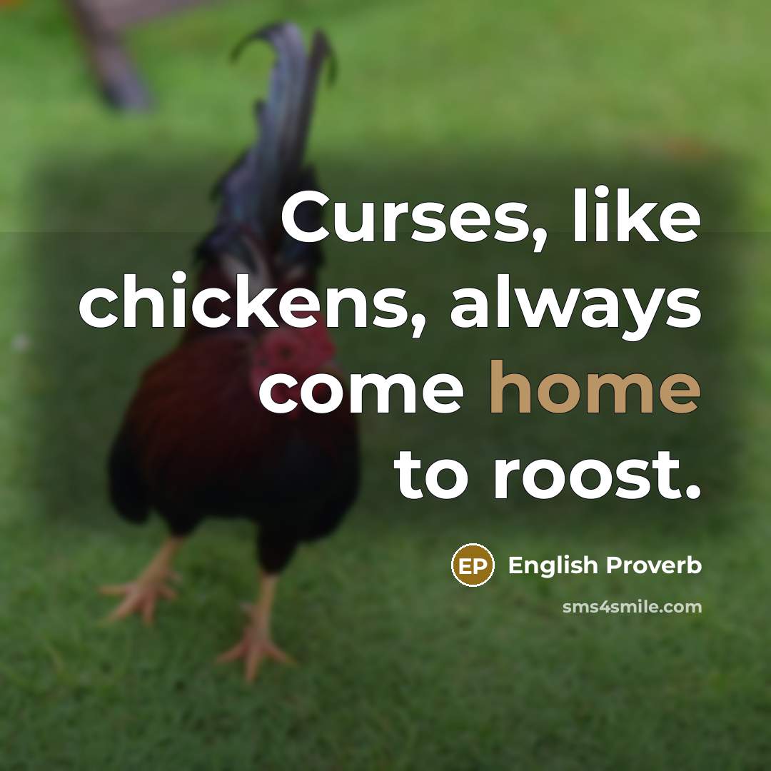 “Curses, like chickens, always come home to roost.…” quote by English Proverb