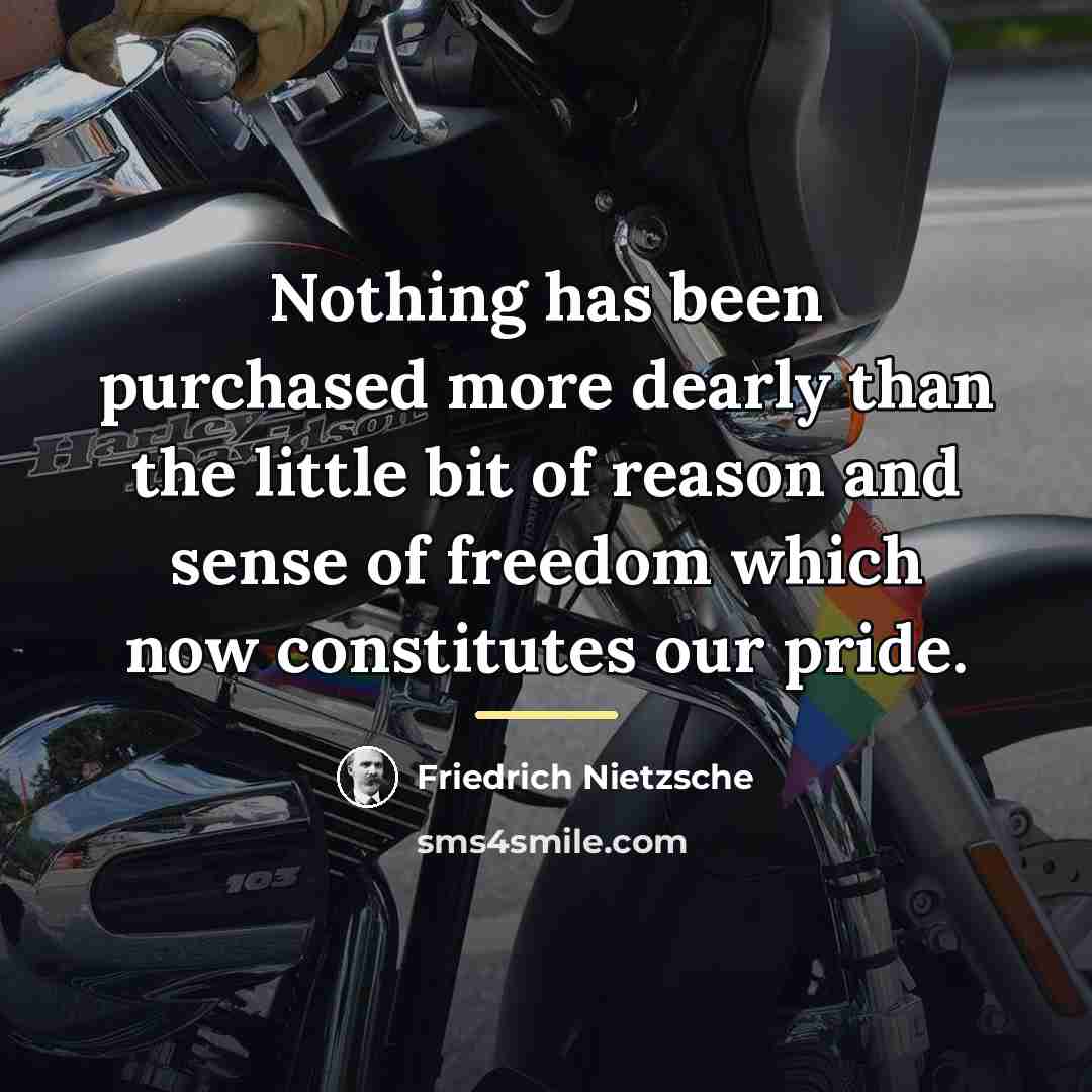 “Nothing has been purchased more dearly than the little bit…” quote by Friedrich Nietzsche