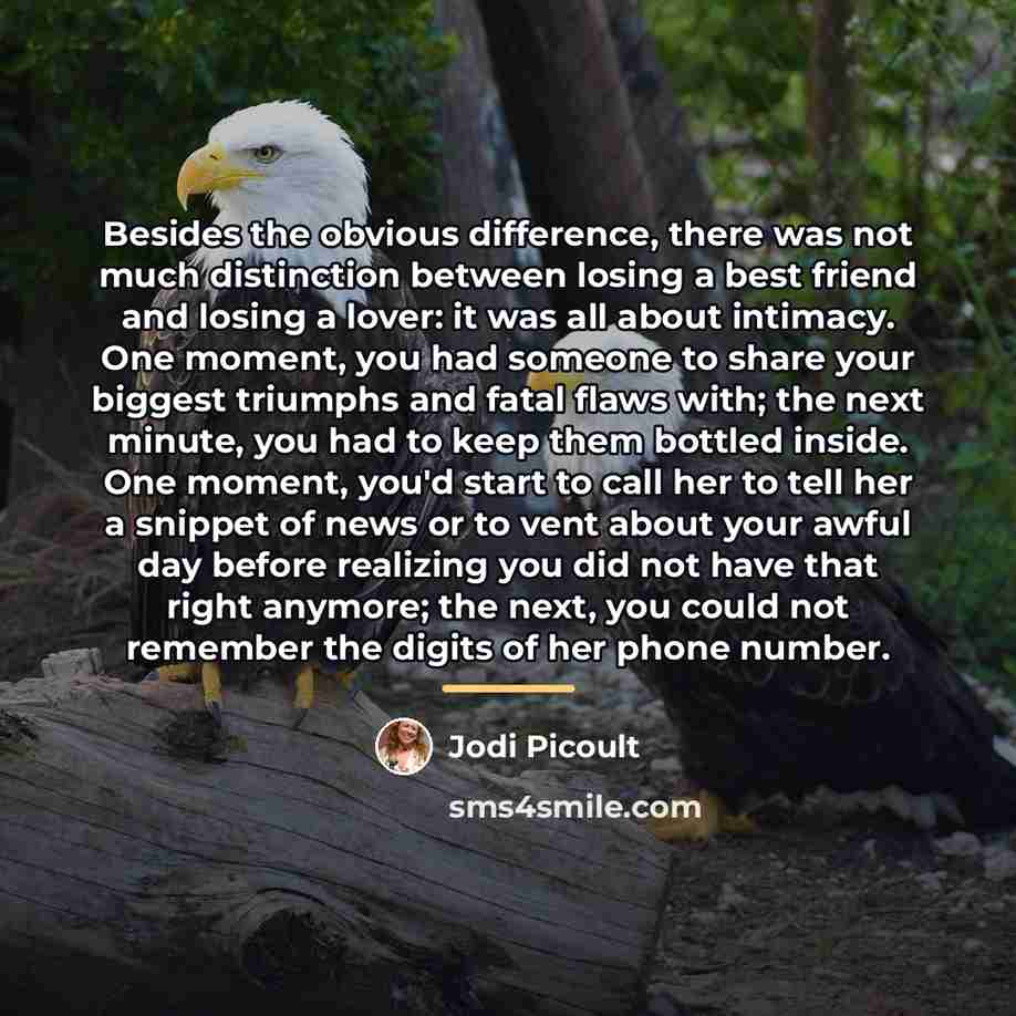 “Besides the obvious difference, there was not much distinction between…” quote by Jodi Picoult