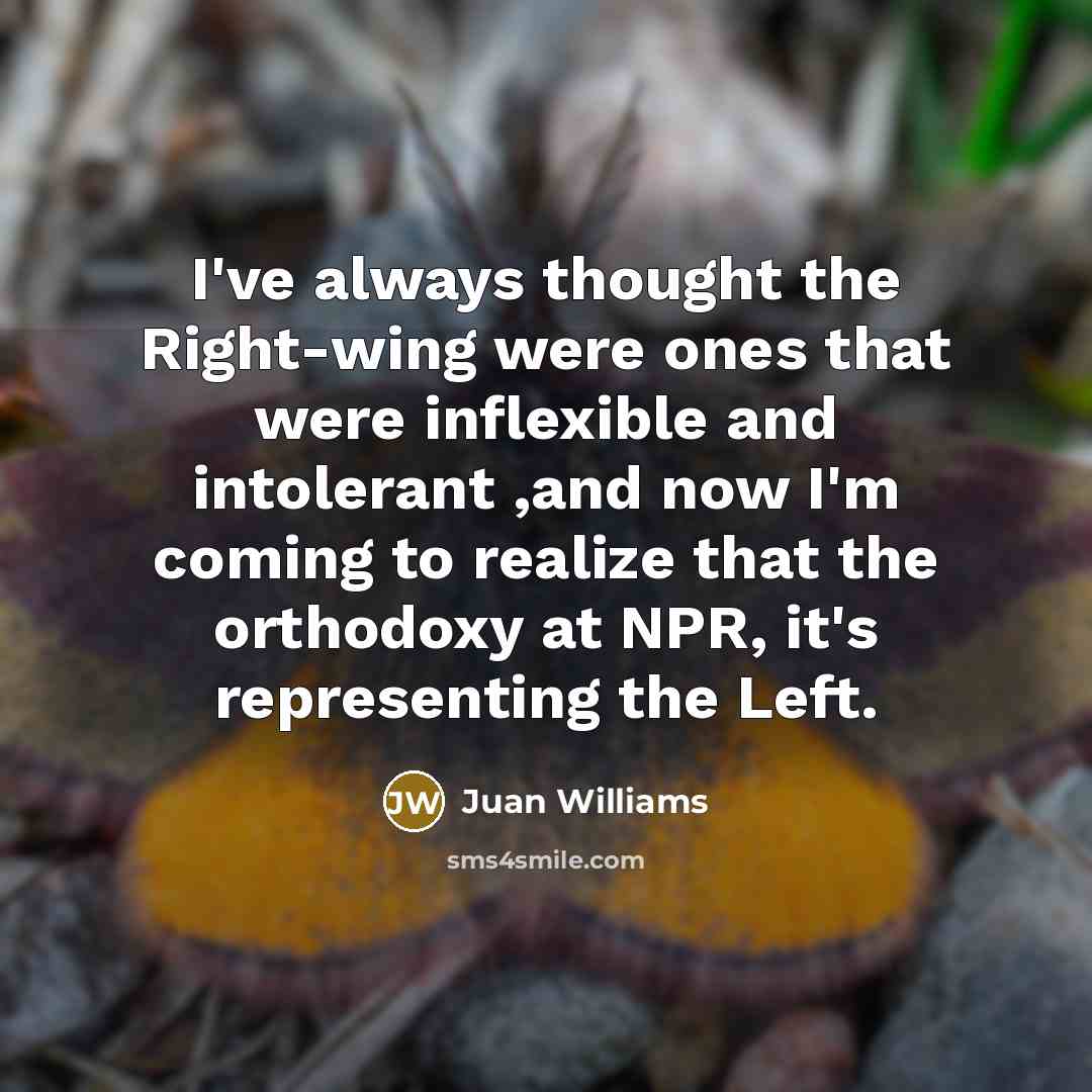 “I've always thought the Right-wing were ones that were inflexible…” quote by Juan Williams
