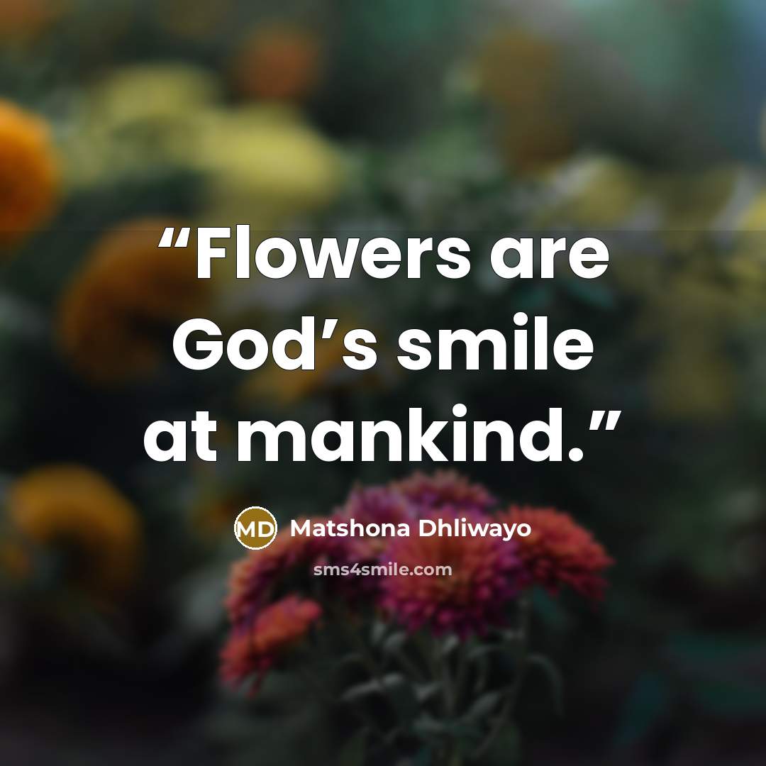 “Flowers are God’s smile at mankind.” quote by Matshona Dhliwayo