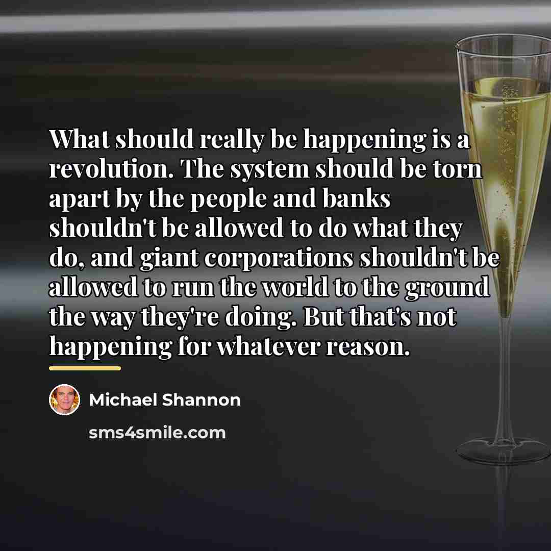 “What should really be happening is a revolution. The system…” quote by Michael Shannon