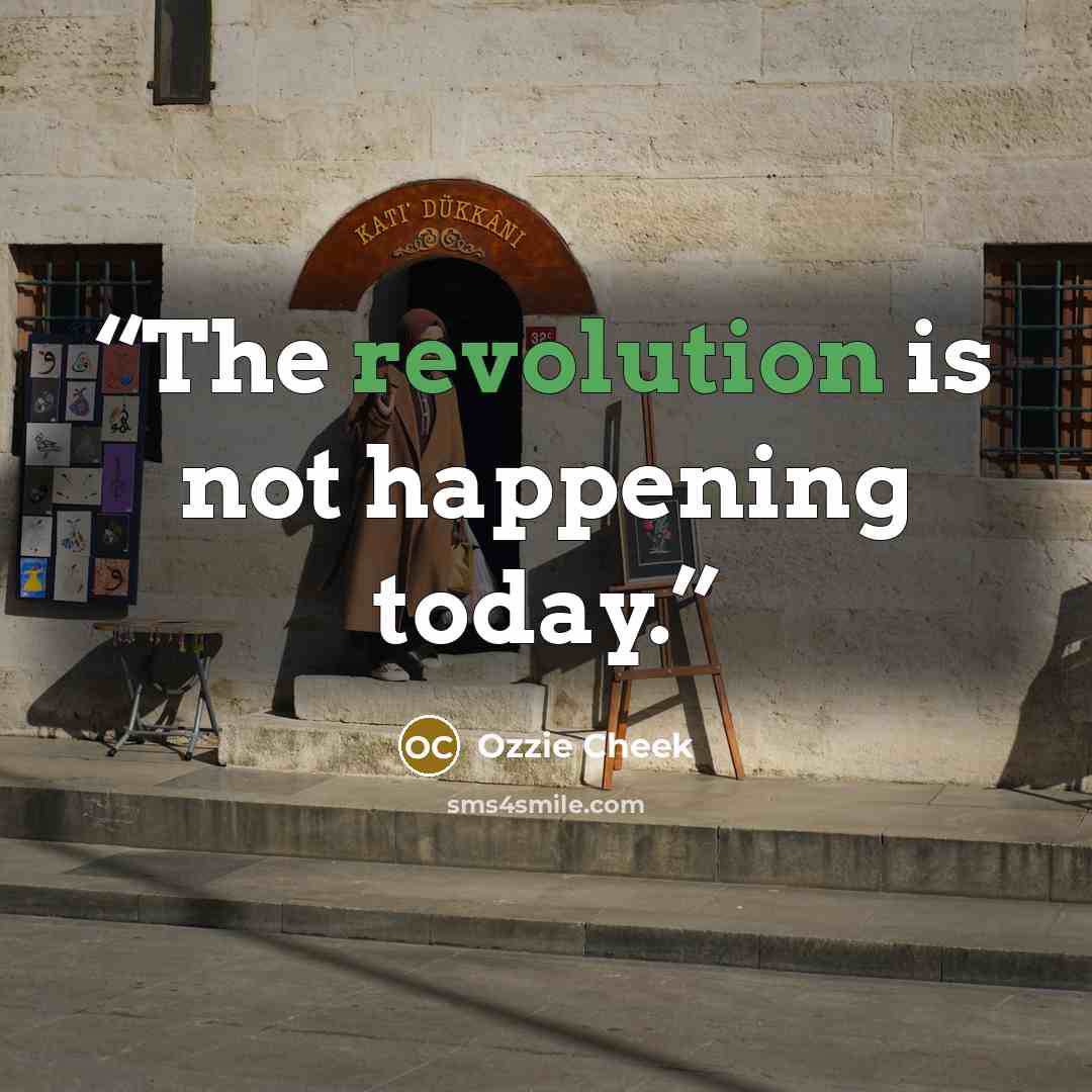 “The revolution is not happening today.” quote by Ozzie Cheek
