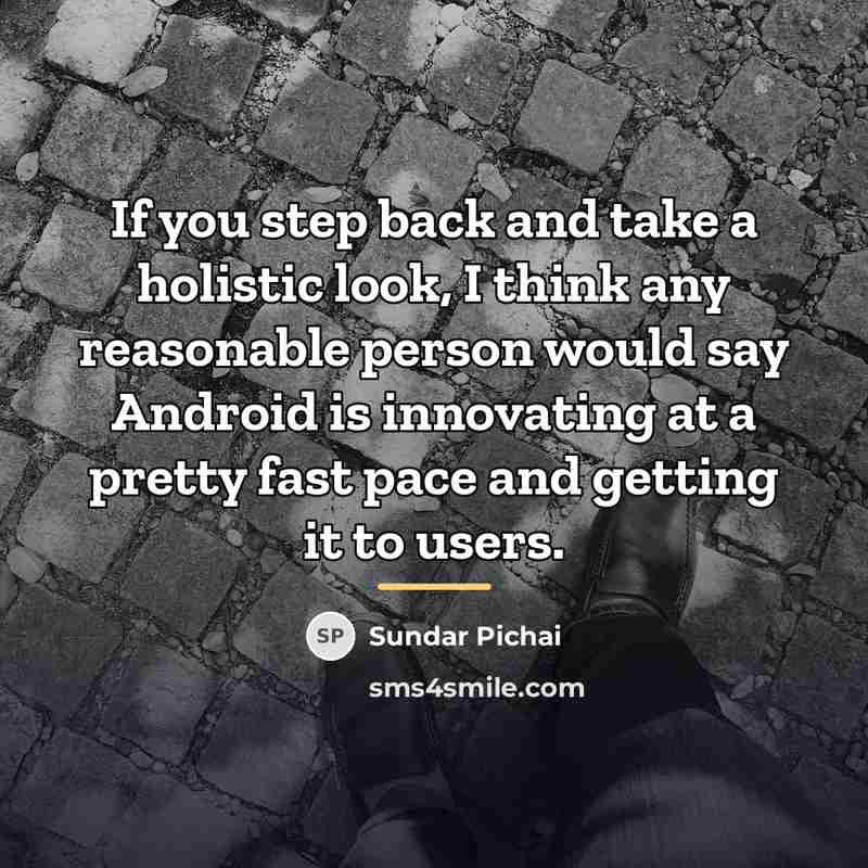 “If you step back and take a holistic look, I…” quote by Sundar Pichai