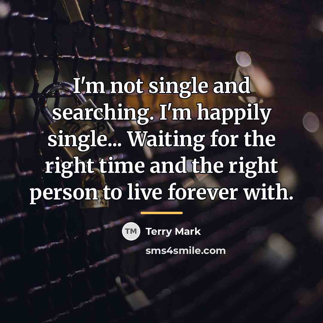 “I'm not single and searching. I'm happily single... Waiting for…” quote by Terry Mark