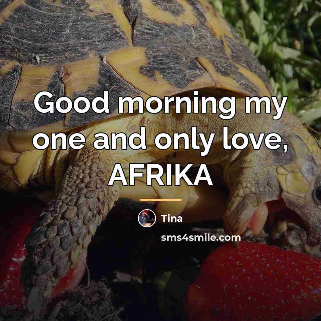 “Good morning my one and only love, AFRIKA…” quote by TINA