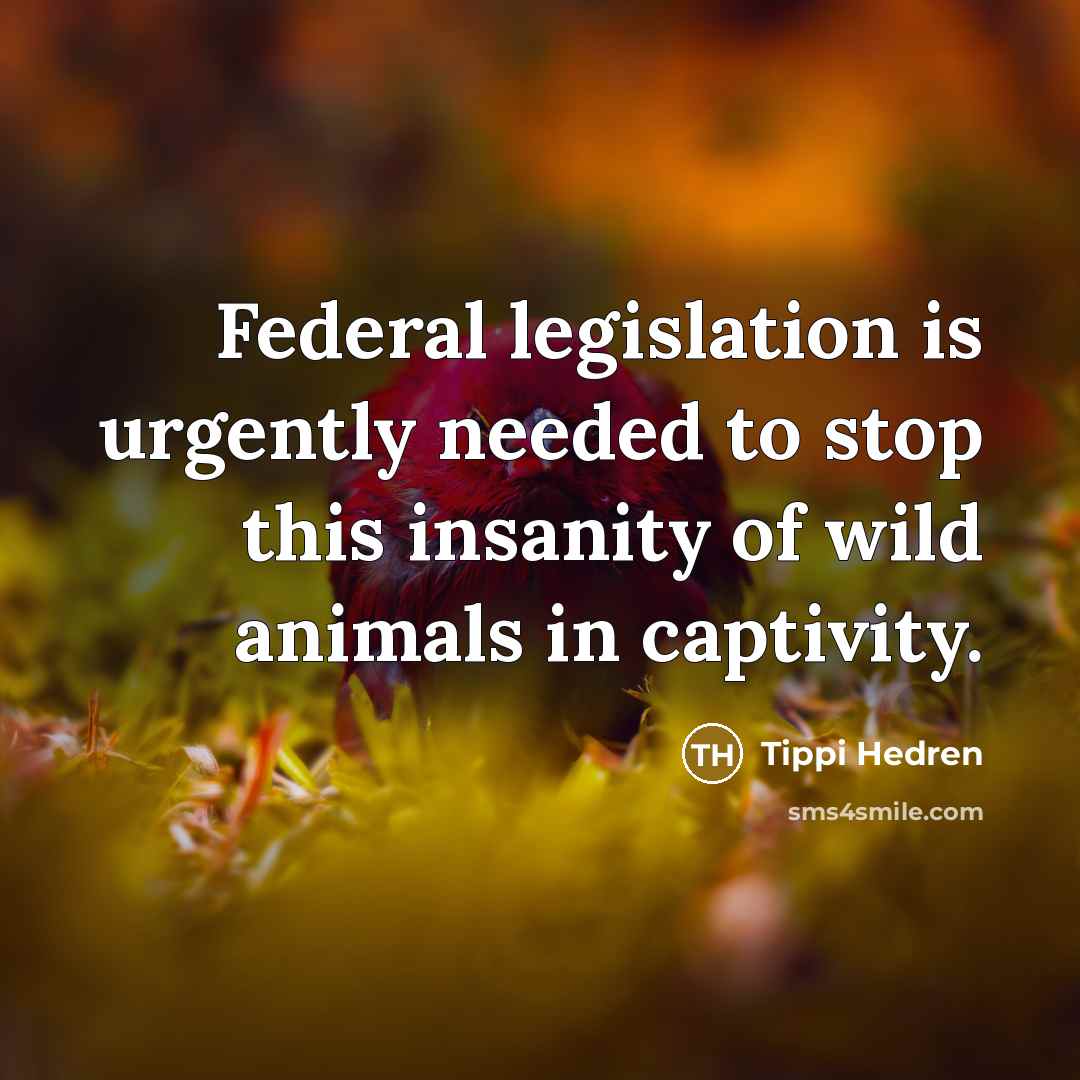 “Federal legislation is urgently needed to stop this insanity of…” quote by Tippi Hedren