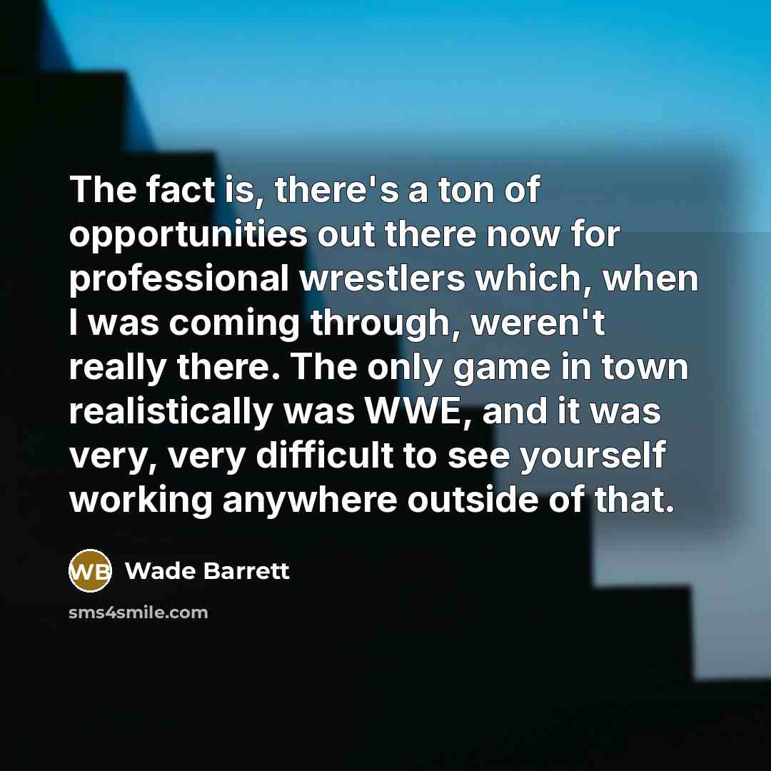 “The fact is, there's a ton of opportunities out there…” quote by Wade Barrett