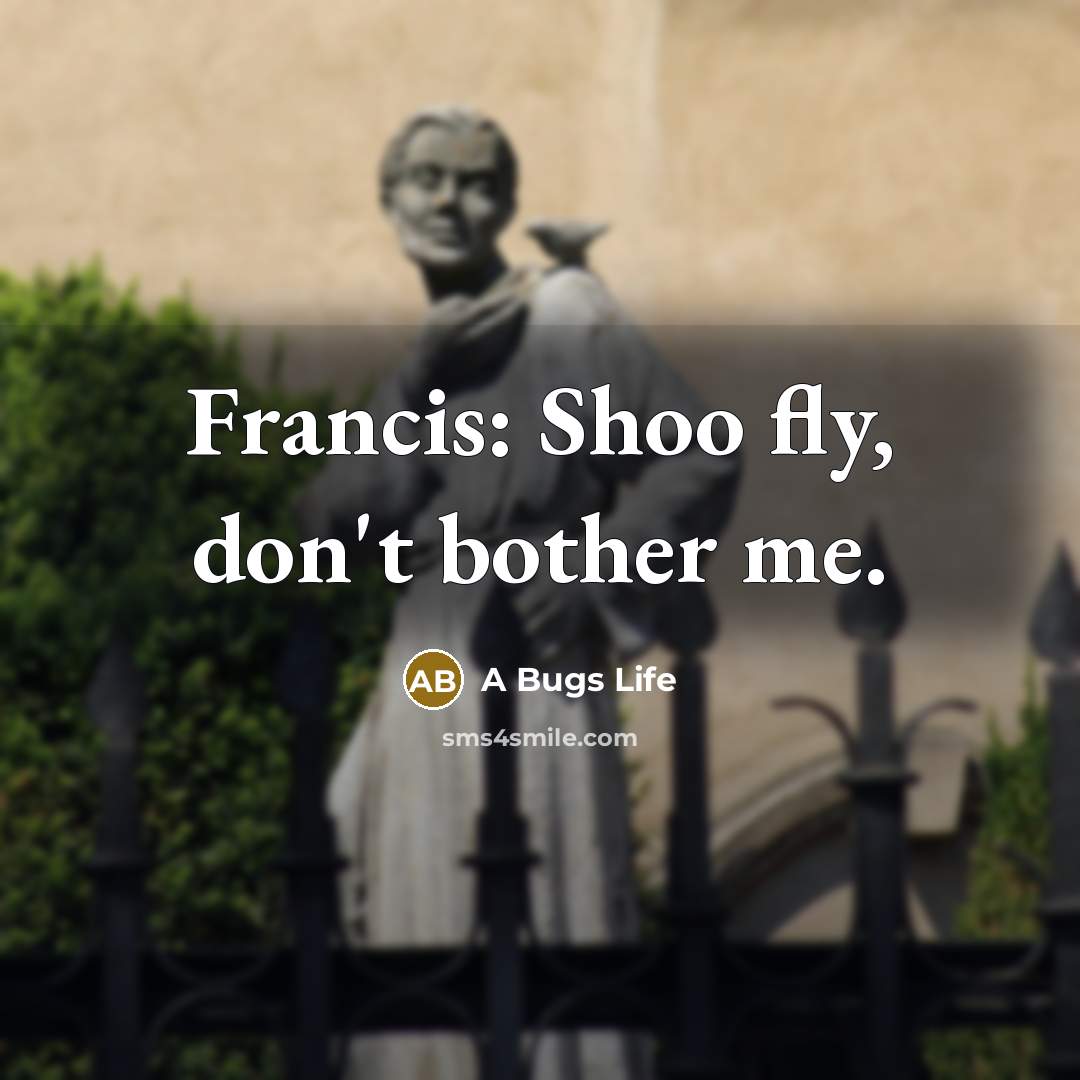 “Francis: Shoo fly, don't bother me.…” quote by A Bugs Life