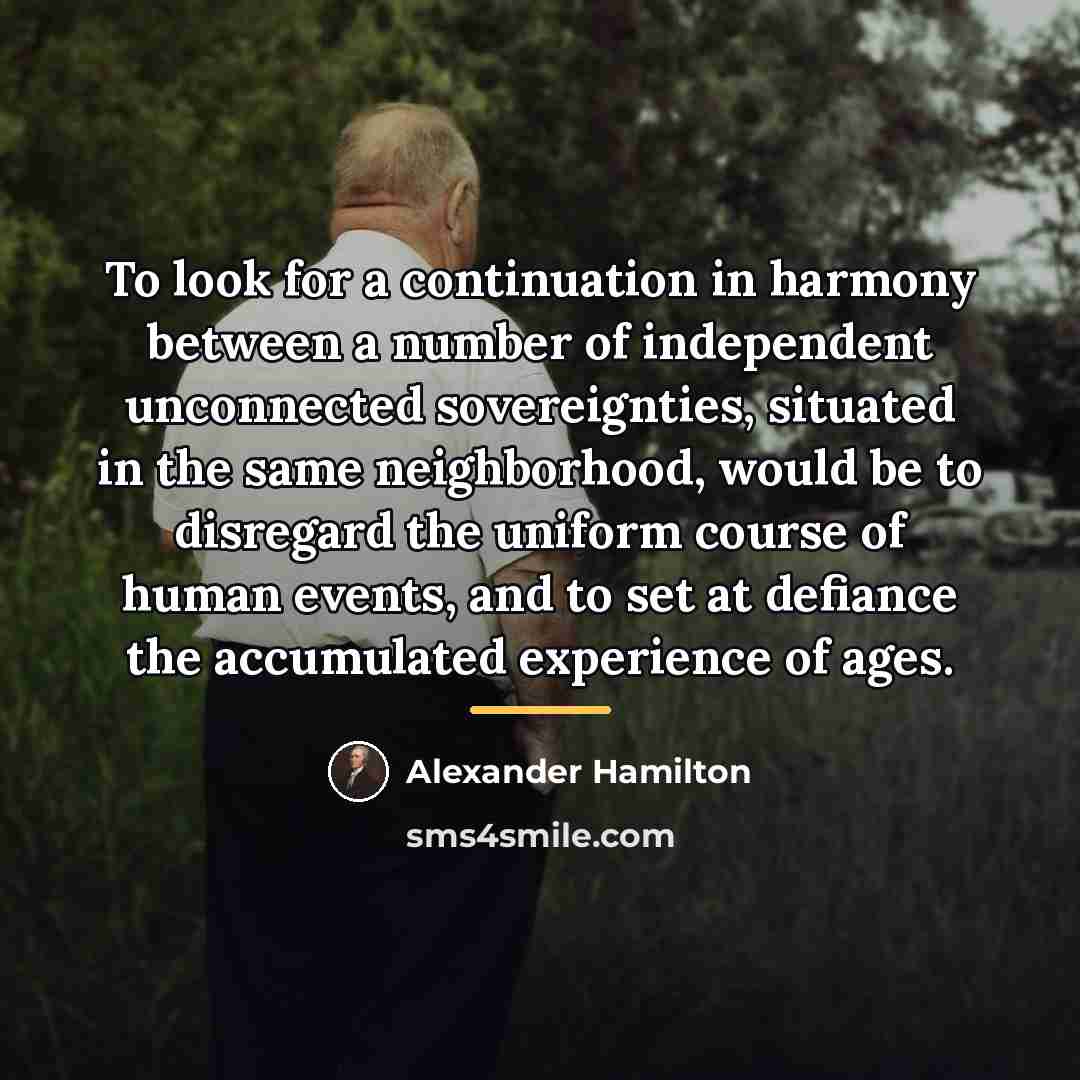 “To look for a continuation in harmony between a number…” quote by Alexander Hamilton