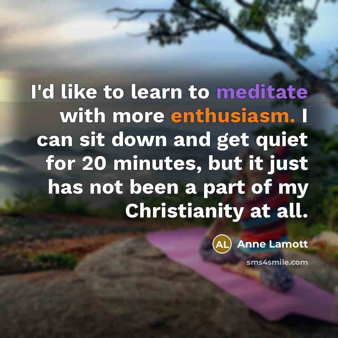 “I'd like to learn to meditate with more enthusiasm. I…” quote by Anne Lamott