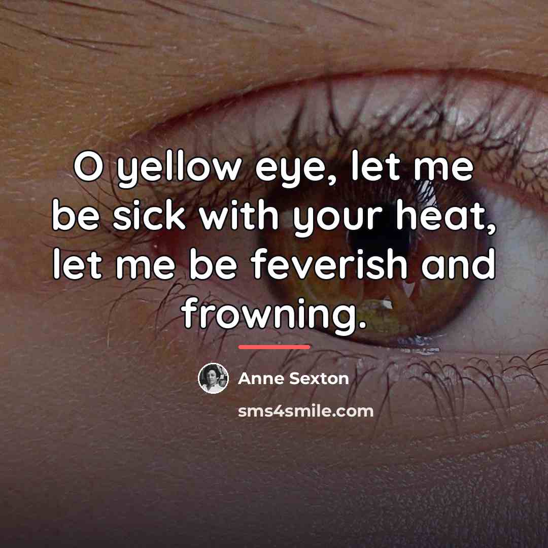 “O yellow eye, let me be sick with your heat,…” quote by Anne Sexton