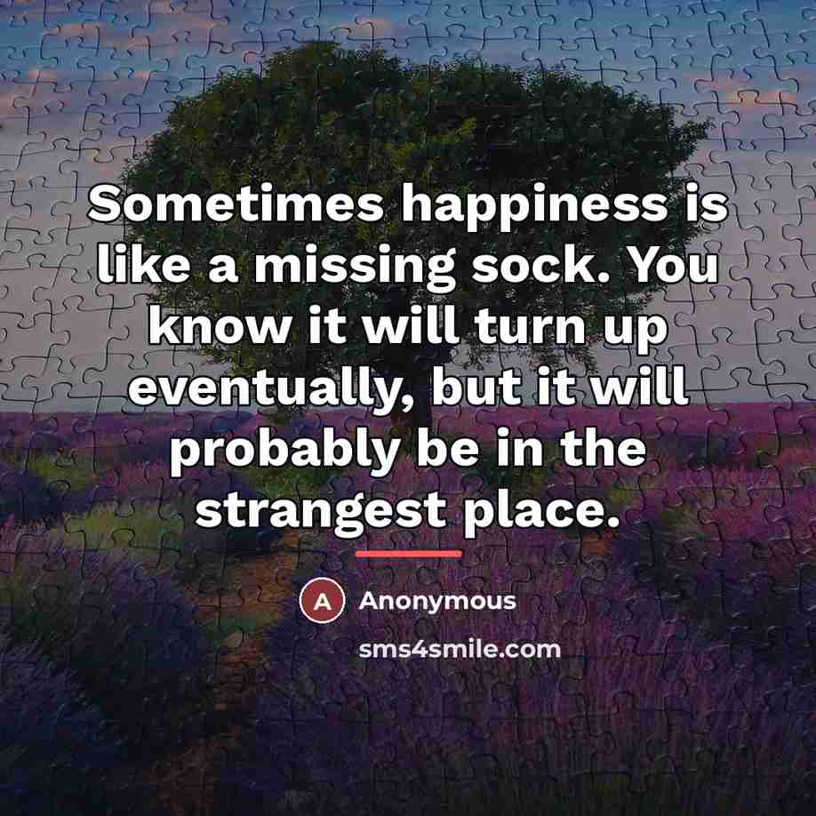 “Sometimes happiness is like a missing sock. You know it…” quote by Anonymous