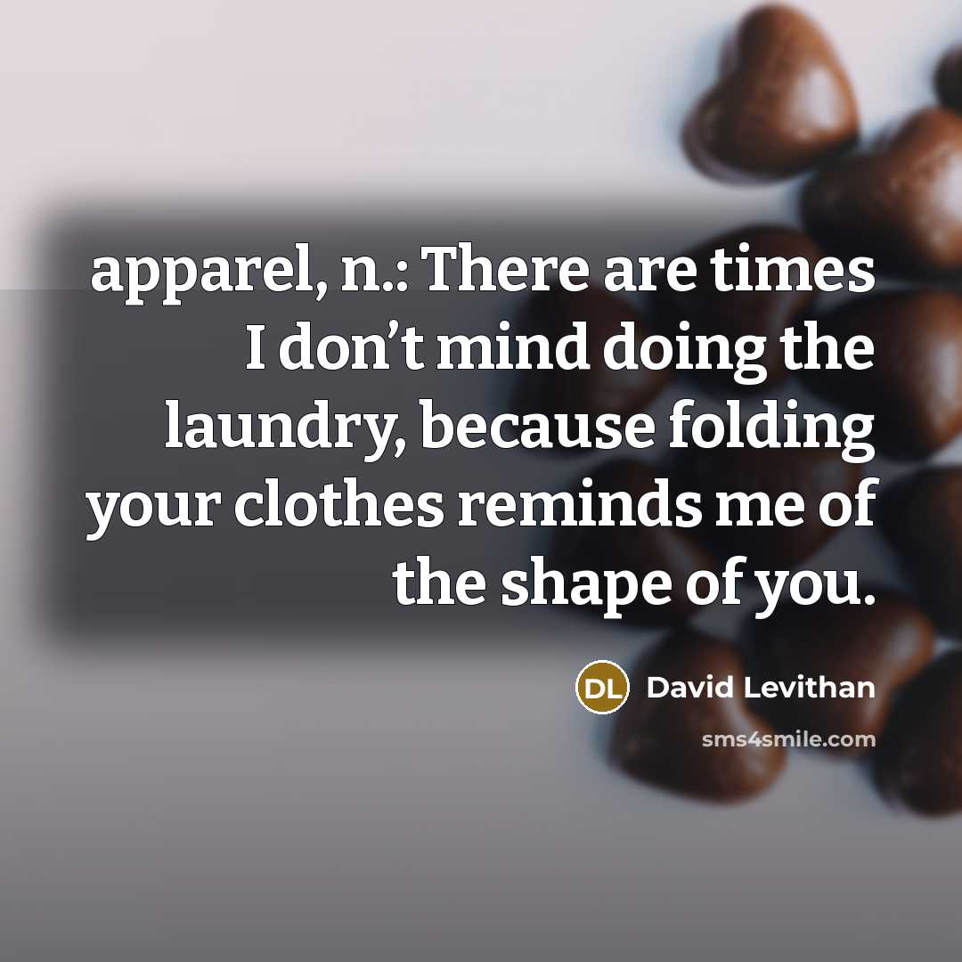 “apparel, n.: There are times I don’t mind doing the…” quote by David Levithan