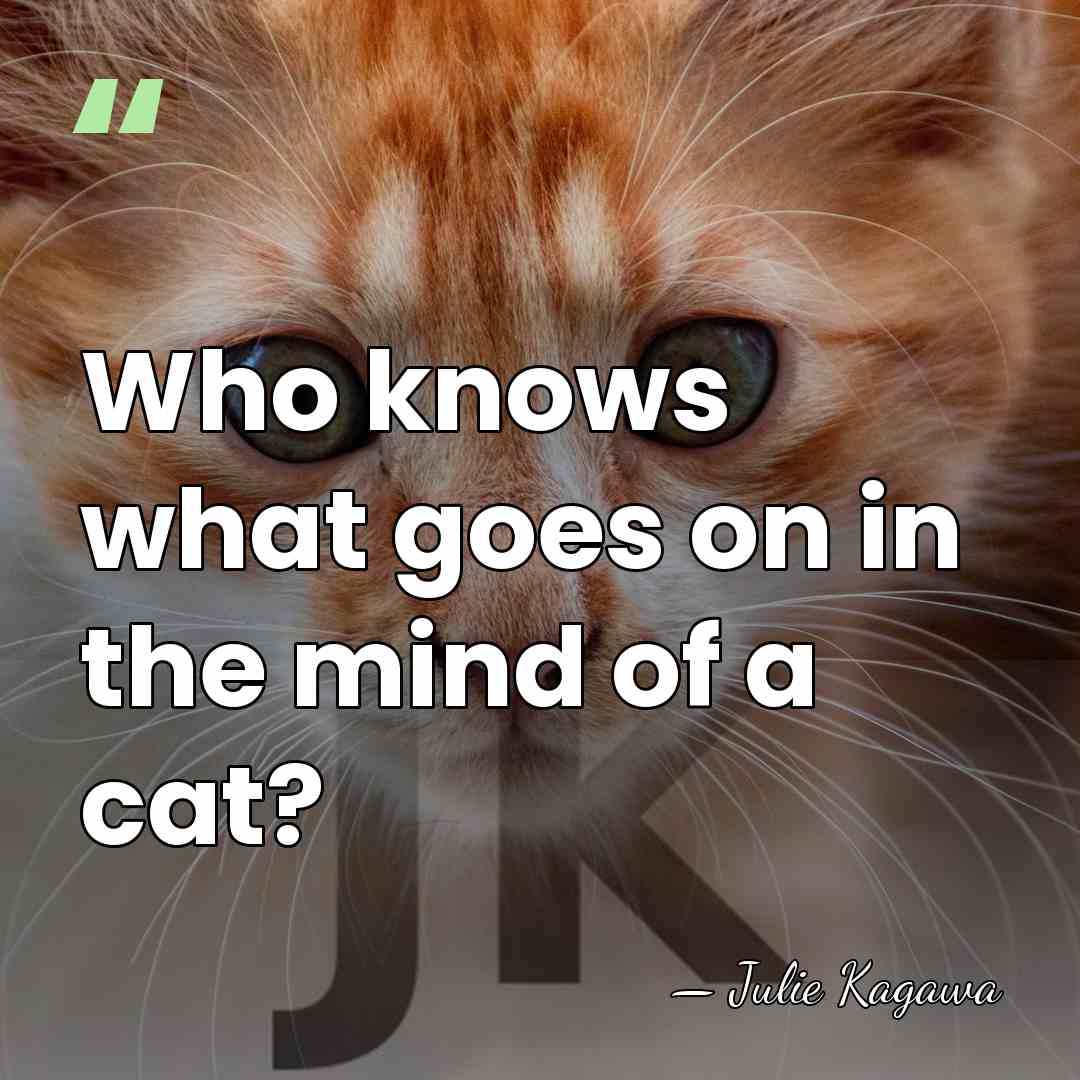 Who knows what goes on in the mind of a cat? - Julie Kagawa