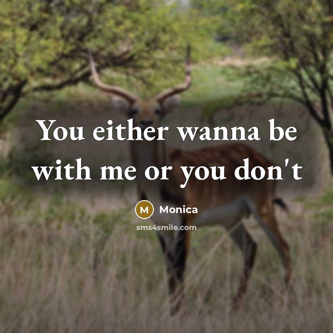 “You either wanna be with me or you don't…” quote by Monica