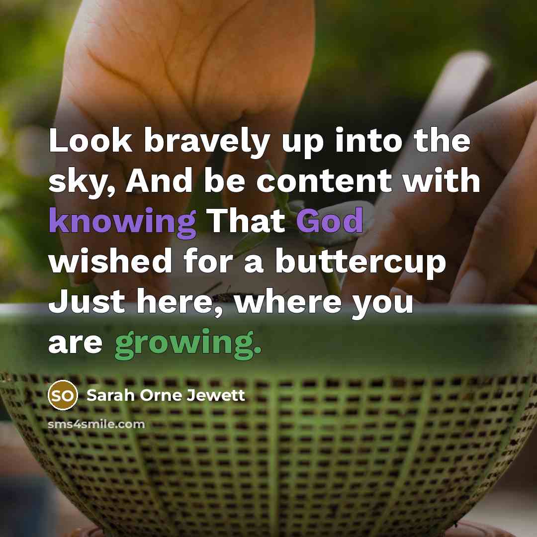 “Look bravely up into the sky, And be content with…” quote by Sarah Orne Jewett