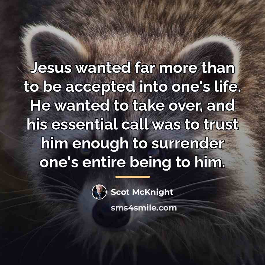 “Jesus wanted far more than to be accepted into one's…” quote by Scot McKnight