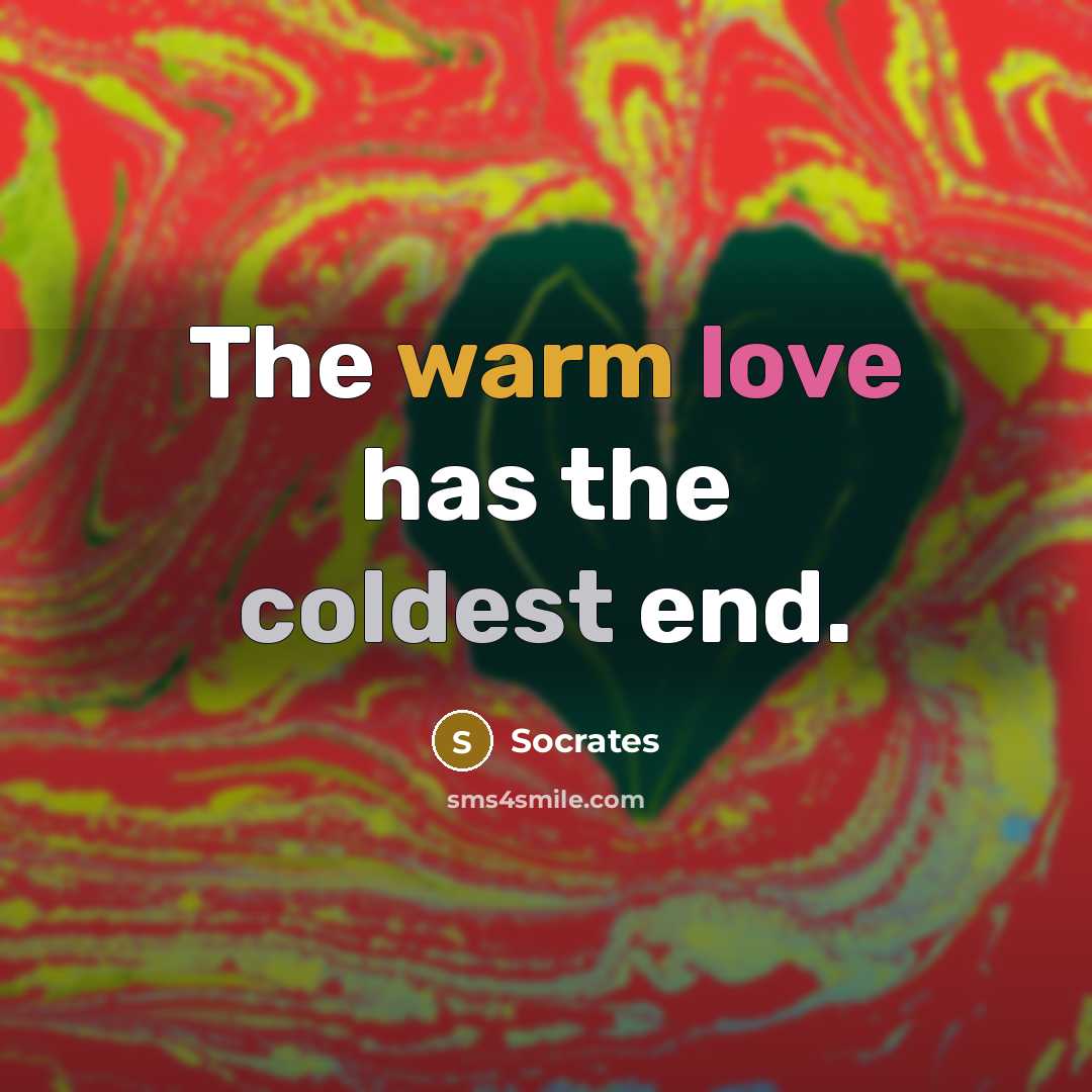“The warm love has the coldest end.” quote by Socrates