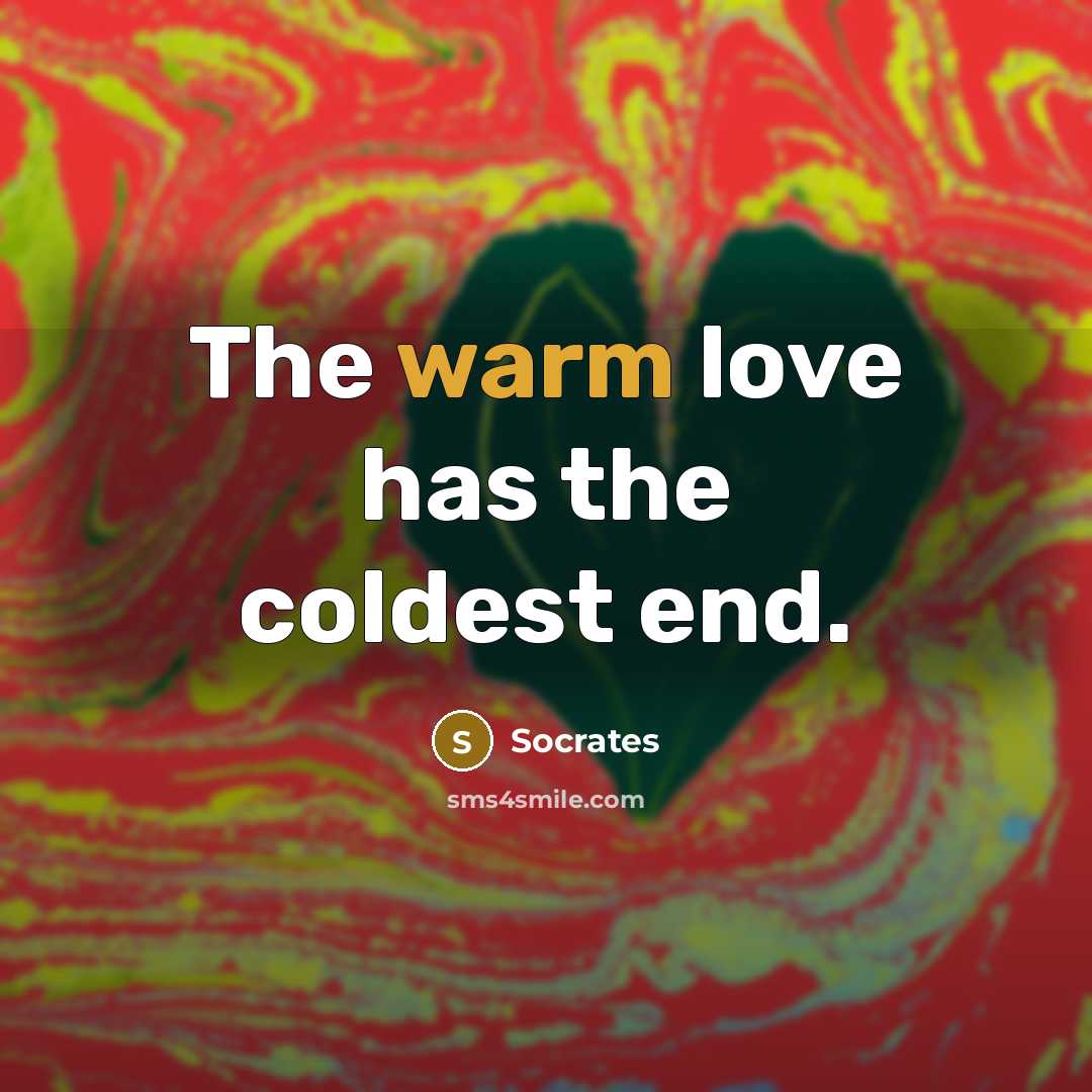 “The warm love has the coldest end.…” quote by Socrates