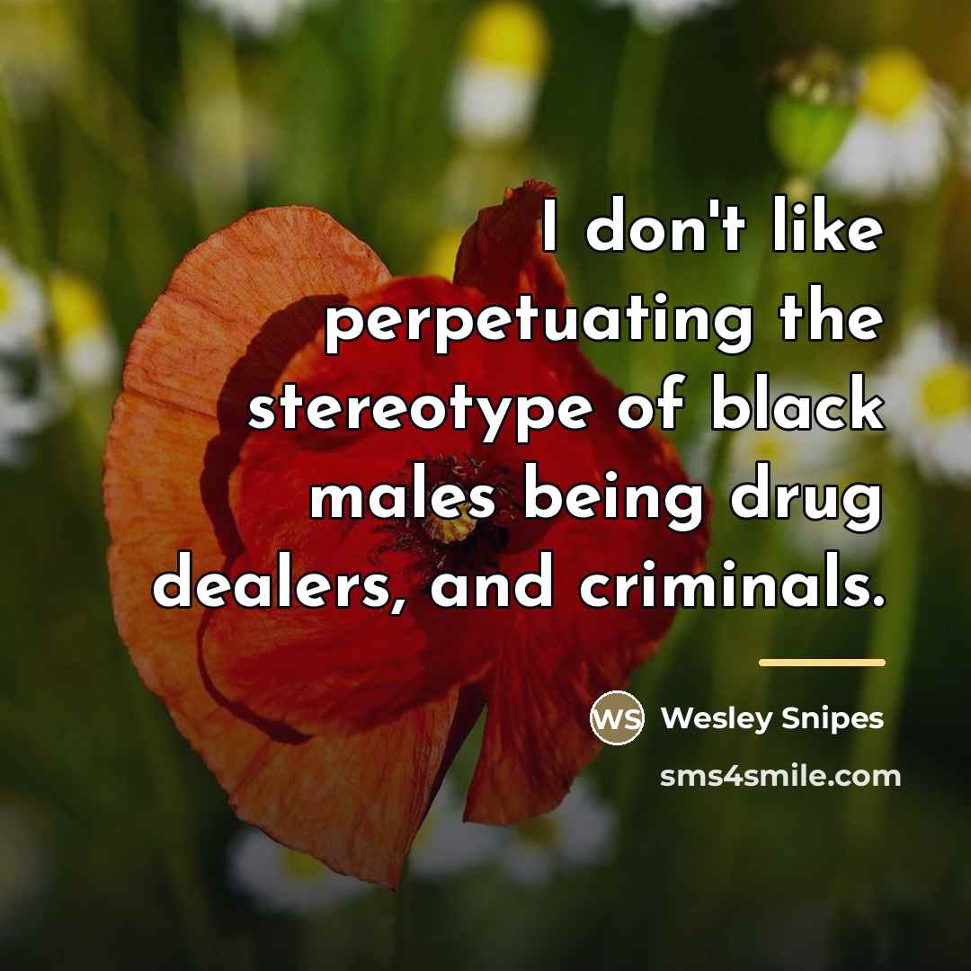 “I don't like perpetuating the stereotype of black males being…” quote by Wesley Snipes